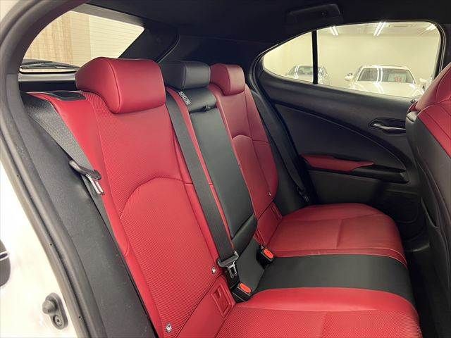LEXUS UX250h