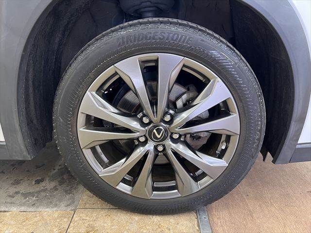 LEXUS UX250h