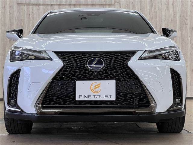 LEXUS UX250h