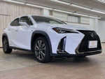 LEXUS UX250h