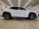 LEXUS UX250h