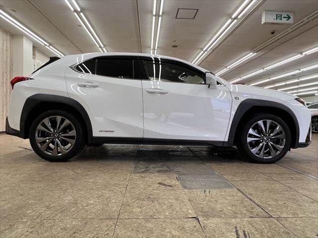 LEXUS UX250h