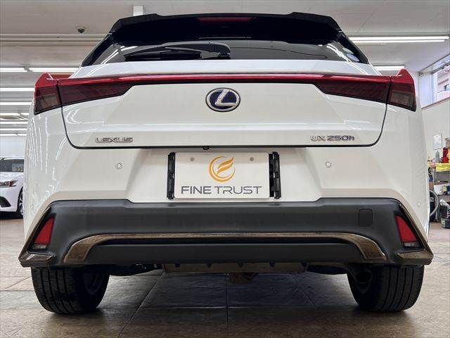 LEXUS UX250h