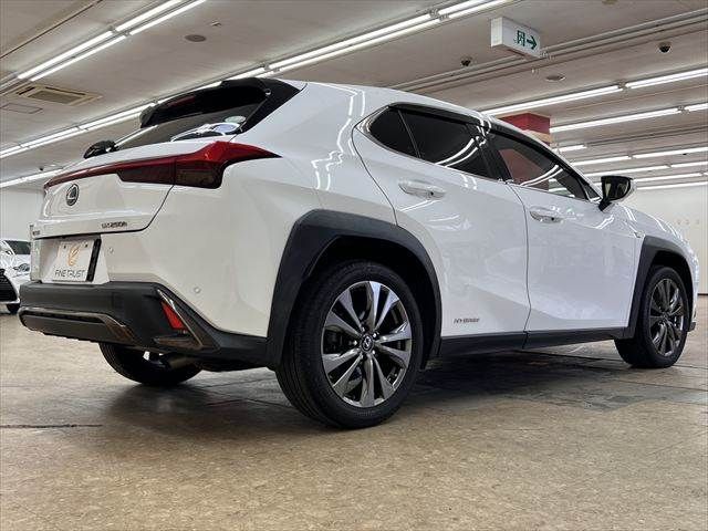 LEXUS UX250h