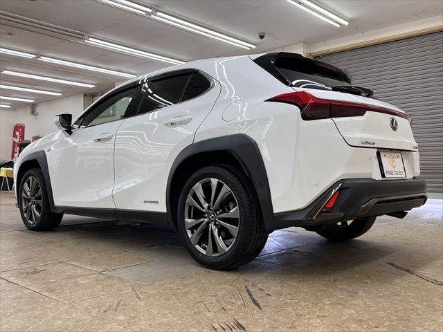 LEXUS UX250h