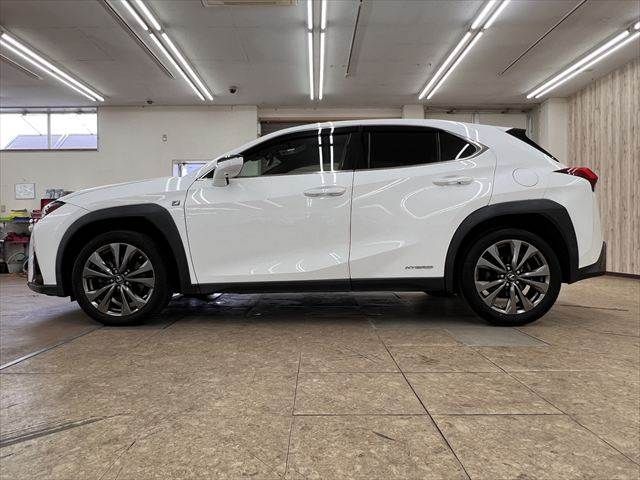 LEXUS UX250h