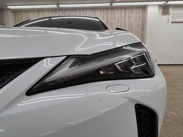 LEXUS UX250h
