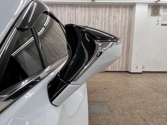 LEXUS UX250h