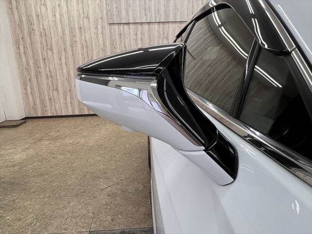 LEXUS UX250h