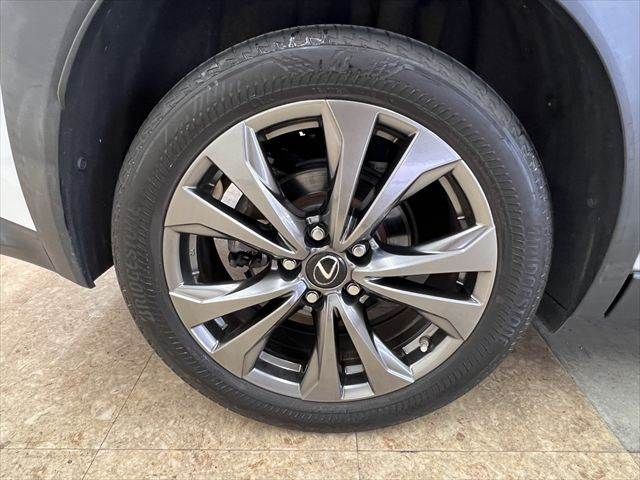 LEXUS UX250h