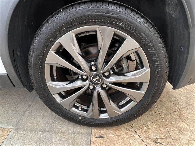 LEXUS UX250h