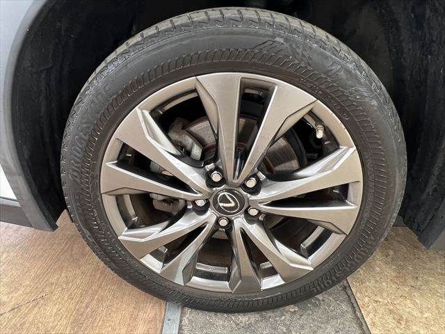 LEXUS UX250h