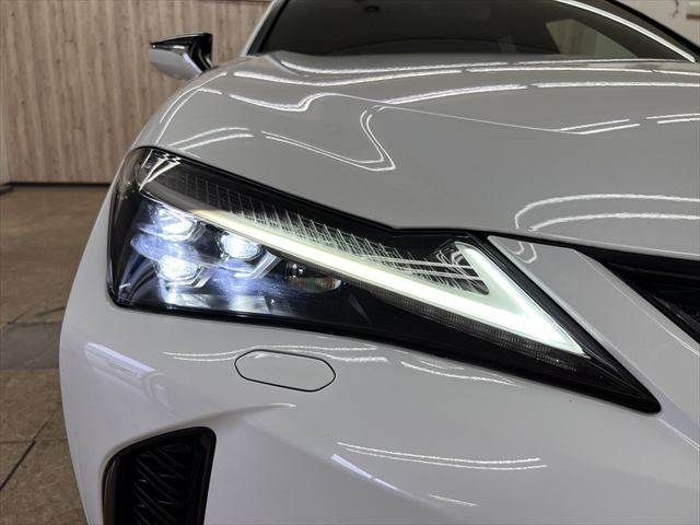 LEXUS UX250h