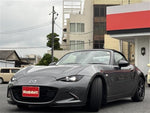ROADSTER