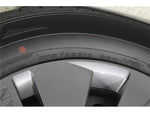 SERENA  WG 4WD