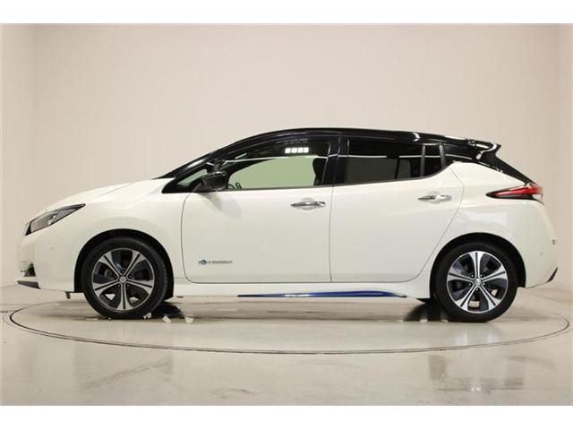 LEAF