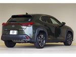 LEXUS UX250h