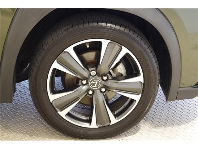 LEXUS UX250h