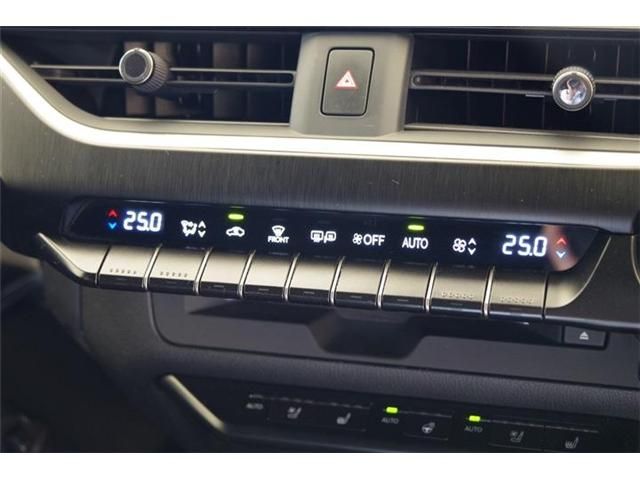 LEXUS UX250h