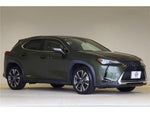 LEXUS UX250h