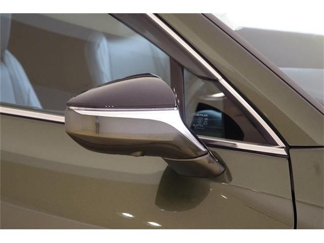 LEXUS UX250h