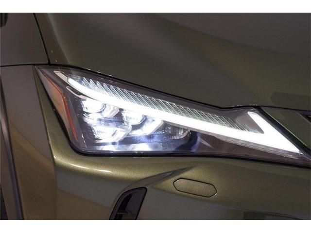 LEXUS UX250h