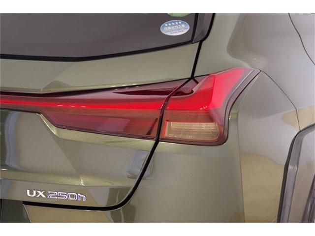 LEXUS UX250h