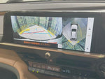 CROWN SPORT