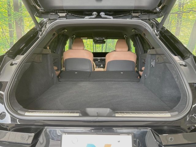 CROWN SPORT