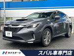 LEVORG LAYBACK