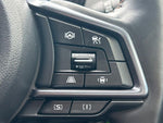 LEVORG LAYBACK