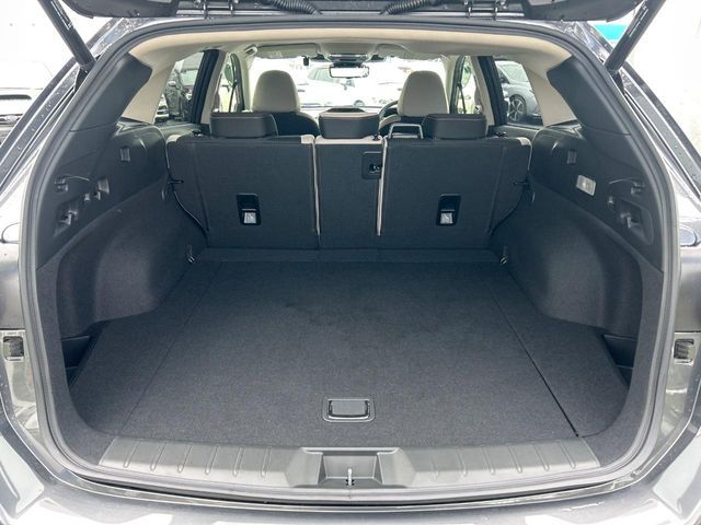 LEVORG LAYBACK