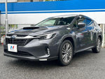 LEVORG LAYBACK