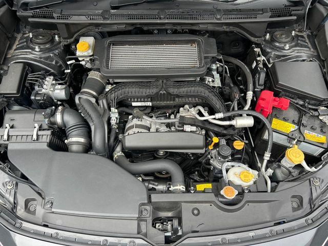 LEVORG LAYBACK