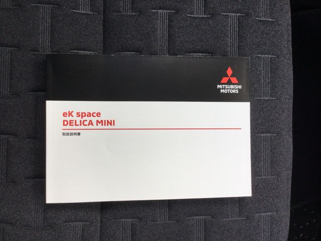 DELICA MINI