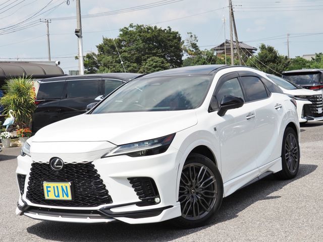 LEXUS RX500h