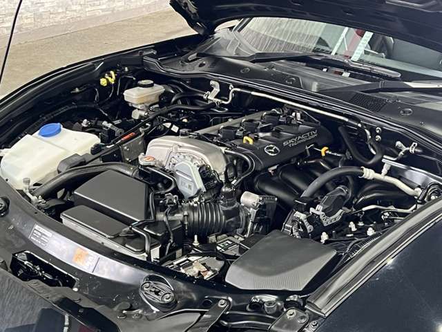 ROADSTER RF