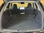 LEXUS NX350h