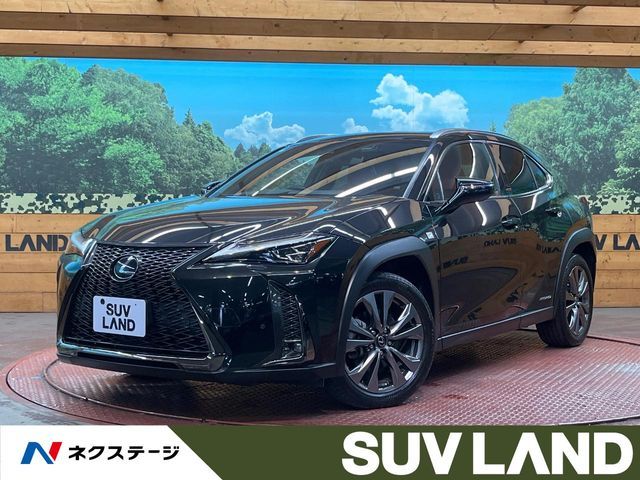 LEXUS UX250h AWD