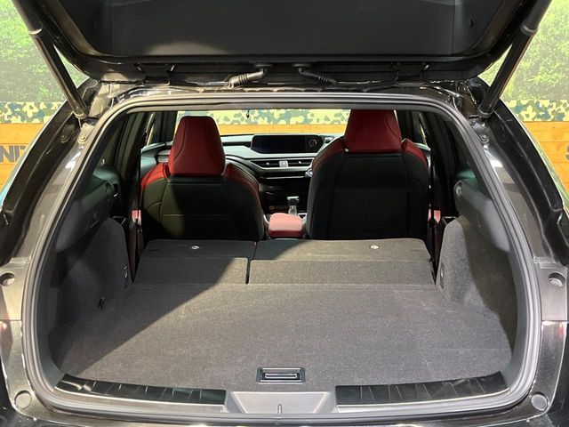 LEXUS UX250h AWD