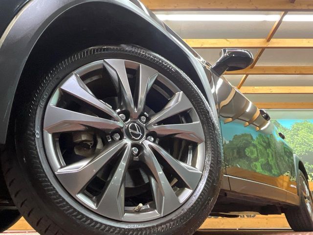 LEXUS UX250h AWD