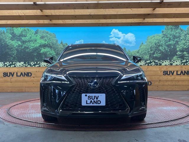 LEXUS UX250h AWD