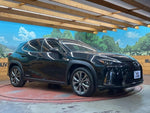 LEXUS UX250h AWD