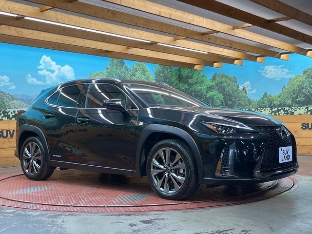 LEXUS UX250h AWD