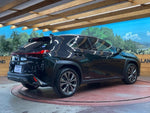 LEXUS UX250h AWD