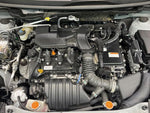 RAIZE HYBRID
