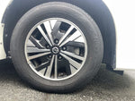 SERENA  WG