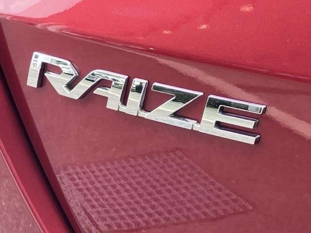 RAIZE