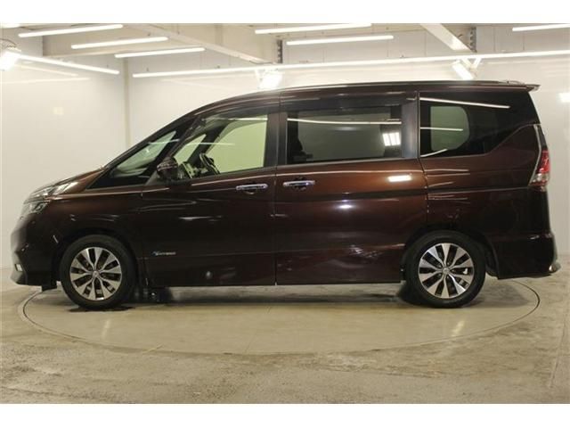 SERENA  S-HYBRID