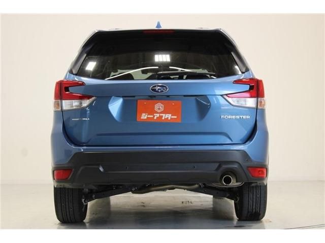 FORESTER
